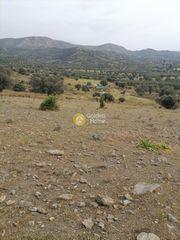 Αγροτεμάχια 3.750 τ.μ. προς πώληση, Σίβας-thumb-8