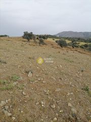 Αγροτεμάχια 3.750 τ.μ. προς πώληση, Σίβας-thumb-7