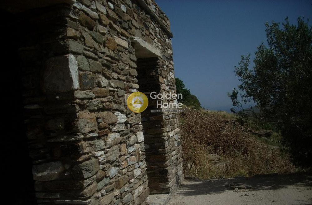Αγροτεμάχια 3.462 τ.μ. προς πώληση, Λυχνάφτια