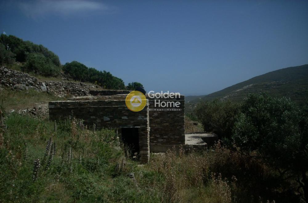 Αγροτεμάχια 3.462 τ.μ. προς πώληση, Λυχνάφτια