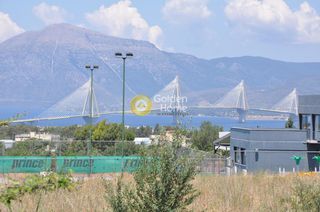 Αγροτεμάχια 3.200 τ.μ. για πώληση