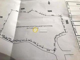 Αγροτεμάχια 7.040 τ.μ. για πώληση