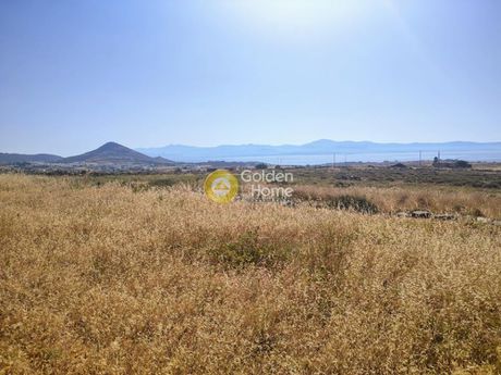 Αγροτεμάχια 11.947 τ.μ. προς πώληση