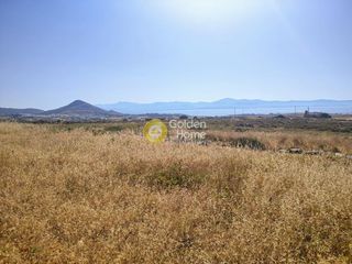 Αγροτεμάχια 11.947 τ.μ. για πώληση