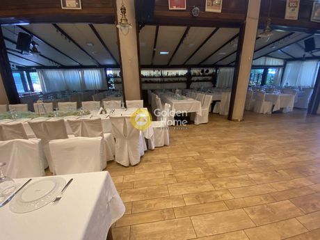 Business 442 sqm for sale