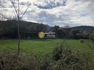 Οικόπεδο 6.500 τ.μ. για πώληση
