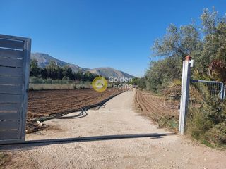 Αγροτεμάχια 9.753 τ.μ. για πώληση