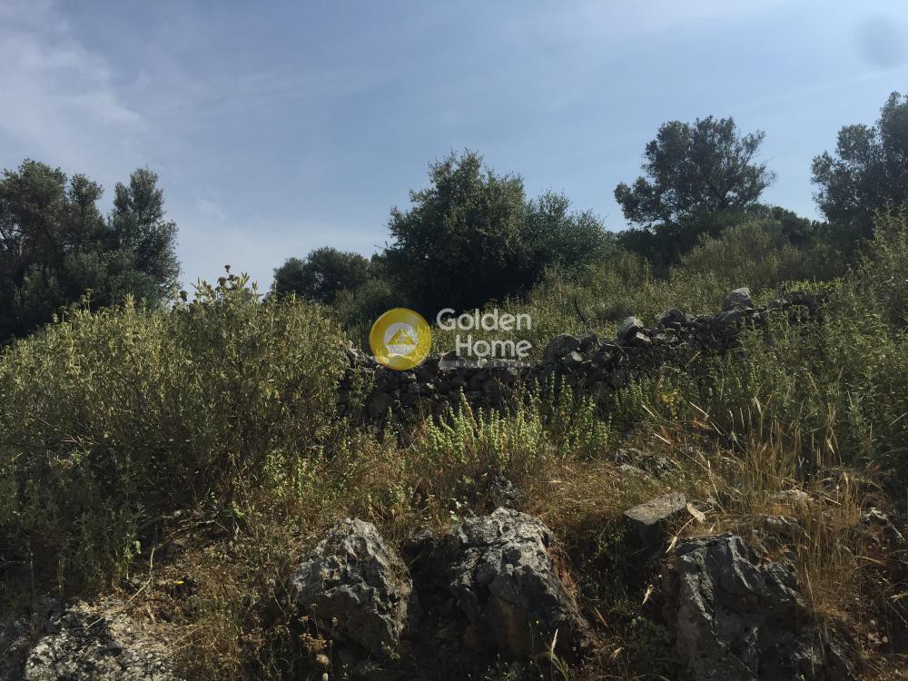 Αγροτεμάχια 18.220 τ.μ. προς πώληση, Άγιος Δημήτριος Δύστου
