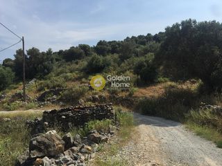 Αγροτεμάχια 18.220 τ.μ. προς πώληση, Άγιος Δημήτριος Δύστου-thumb-7