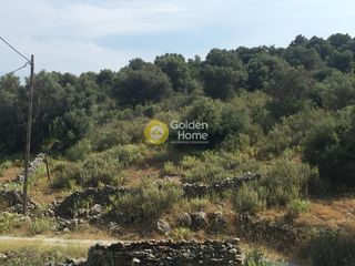 Αγροτεμάχια 18.220 τ.μ. προς πώληση, Άγιος Δημήτριος Δύστου-thumb-6