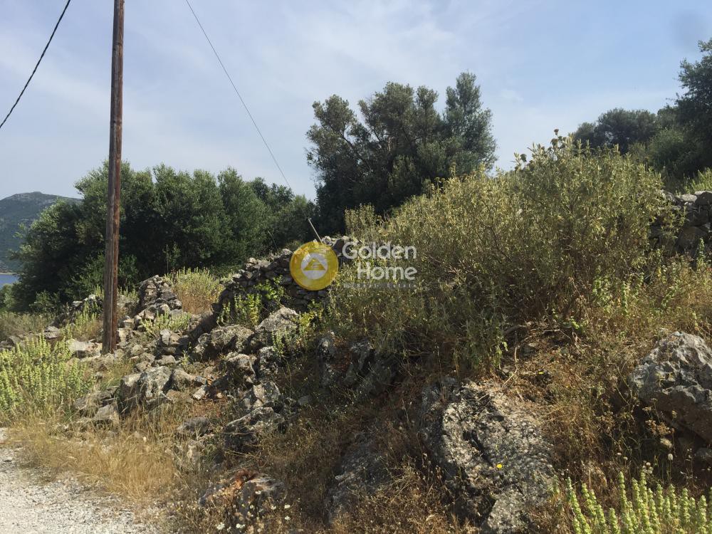 Αγροτεμάχια 18.220 τ.μ. προς πώληση, Άγιος Δημήτριος Δύστου