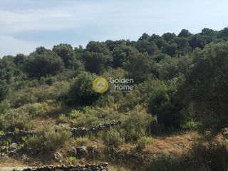 Αγροτεμάχια 18.220 τ.μ. προς πώληση, Άγιος Δημήτριος Δύστου-thumb-5