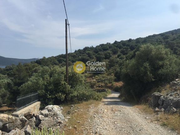 Αγροτεμάχια 18.220 τ.μ. για πώληση, Εύβοια, Δύστος