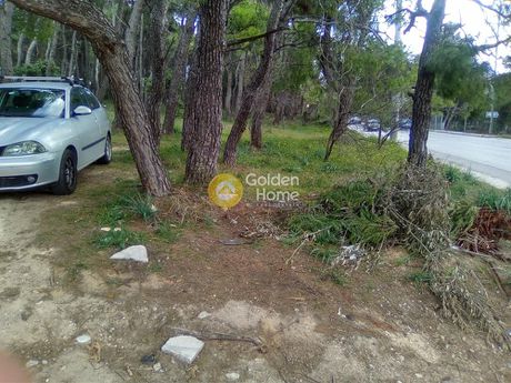 Οικόπεδο 3.390 τ.μ. για πώληση