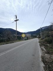Οικόπεδο 5.300 τ.μ. για πώληση