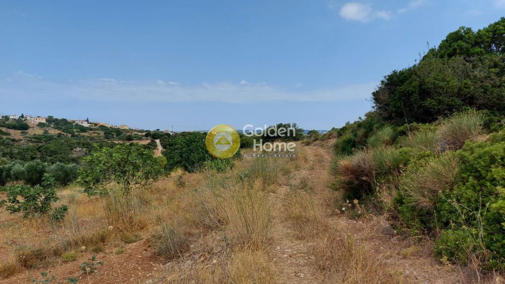 Μονοκατοικία 110 τ.μ. προς πώληση, Αλοϊζιάνικα