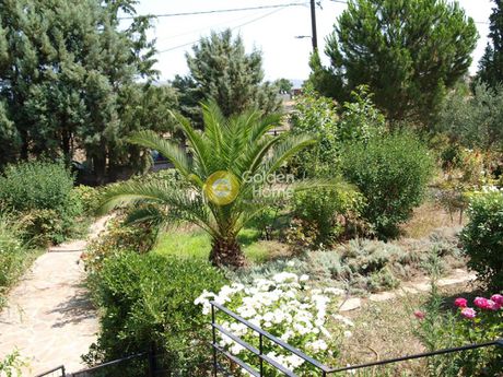 Building 420sqm for sale-Avlona