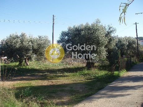 Land plot 700sqm for sale-Aegina » Therma