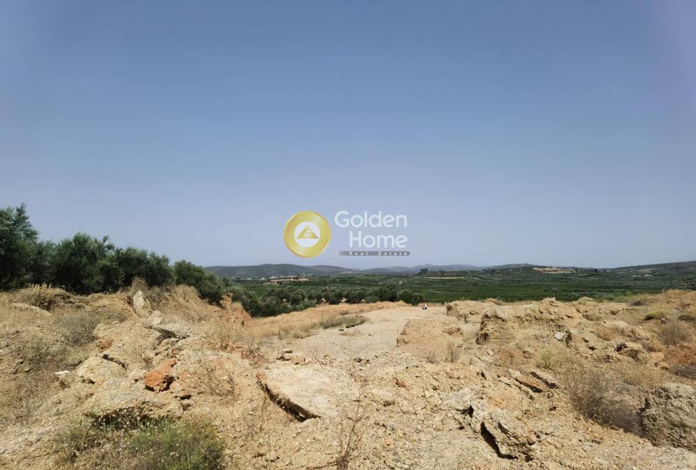 Αγροτεμάχια 5.810 τ.μ. προς πώληση, Κοκκινιά Έλους