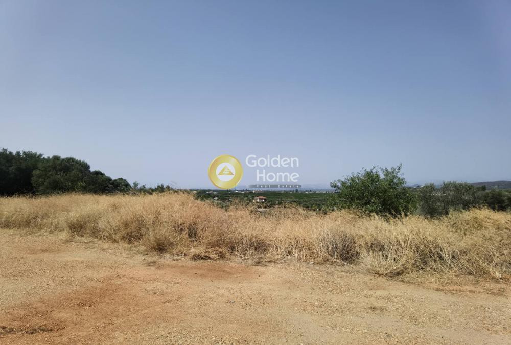 Αγροτεμάχια 5.810 τ.μ. προς πώληση, Κοκκινιά Έλους