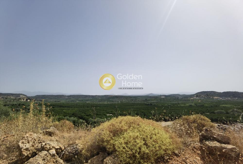 Αγροτεμάχια 5.810 τ.μ. προς πώληση, Κοκκινιά Έλους