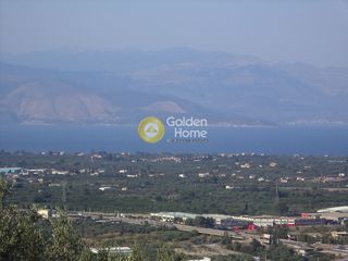 Αγροτεμάχια 3.500 τ.μ. για πώληση