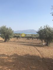 Οικόπεδο 4.580 τ.μ. για πώληση