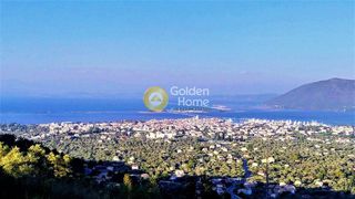 Αγροτεμάχια 3.300 τ.μ. για πώληση