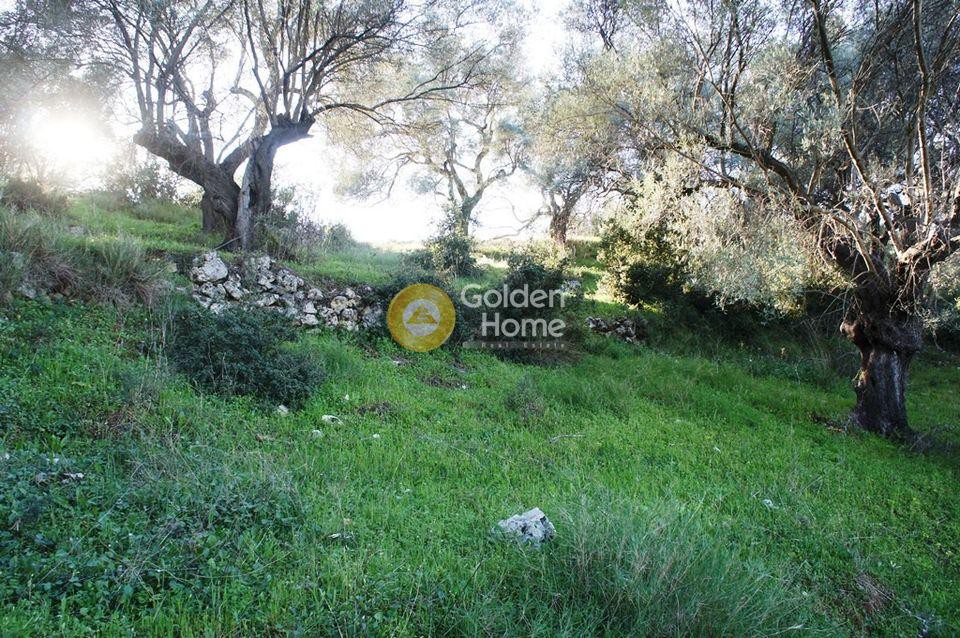 Αγροτεμάχια 3.300 τ.μ. προς πώληση, Περιοχή Χώρας Λευκάδας