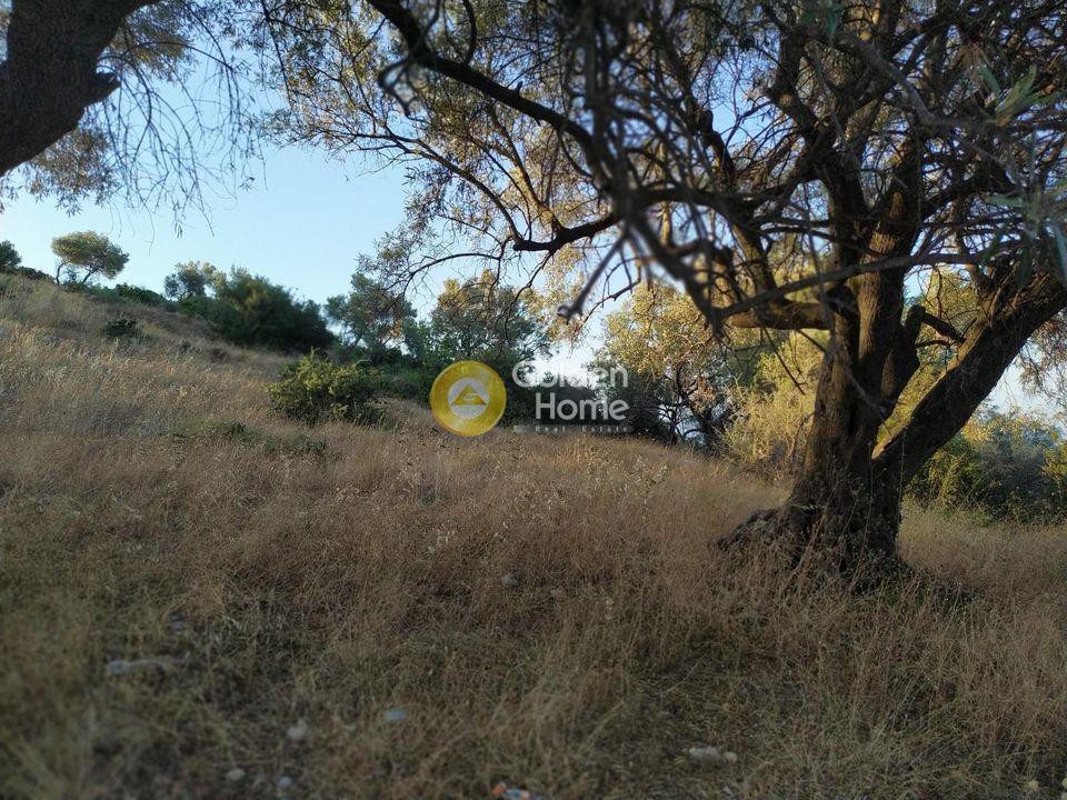 Αγροτεμάχια 3.300 τ.μ. προς πώληση, Περιοχή Χώρας Λευκάδας