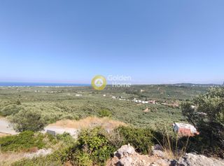 Οικόπεδο 12.000 τ.μ. για πώληση