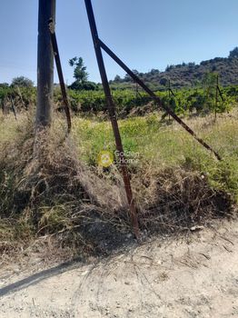 Land plot 4.292sqm for sale-Temenos » Malades
