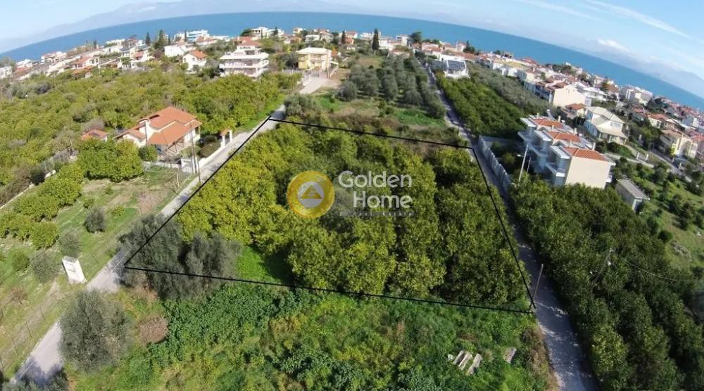 Οικόπεδο 1.325 τ.μ. προς πώληση, Κάτω Διμηνιό