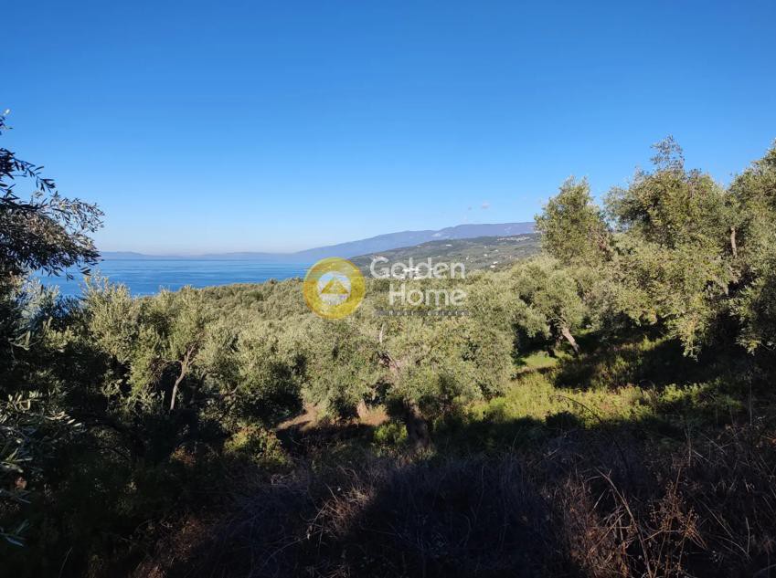 Οικόπεδο 3.200 τ.μ. πρός πώληση, Μαγνησία, Σηπιάδα