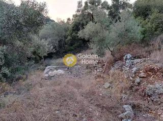 Αγροτεμάχια 4.500 τ.μ. προς πώληση, Ελλόμενο-thumb-2