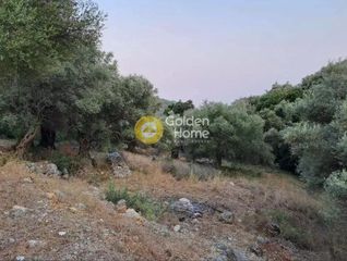 Αγροτεμάχια 4.500 τ.μ. προς πώληση, Ελλόμενο-thumb-1