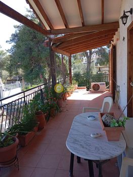 Land plot 480sqm for sale-Abelakia » Selinia