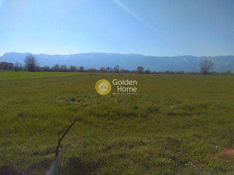 Αγροτεμάχια 18.000 τ.μ. για πώληση