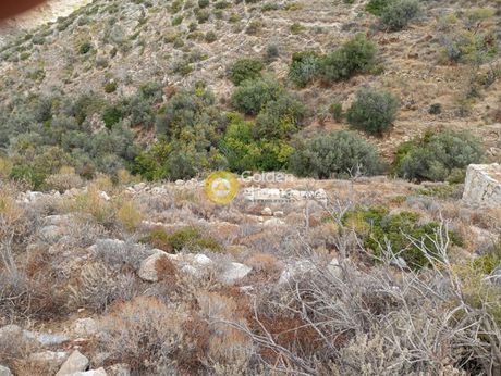 Αγροτεμάχια 6.728 τ.μ. προς πώληση