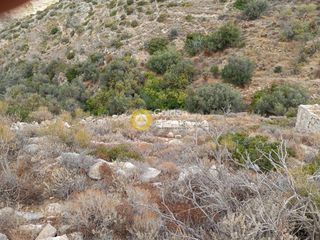 Αγροτεμάχια 6.728 τ.μ. για πώληση