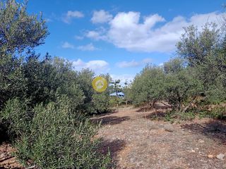 Οικόπεδο 8.461 τ.μ. για πώληση