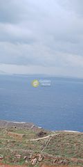 Αγροτεμάχια 66.775 τ.μ. για πώληση