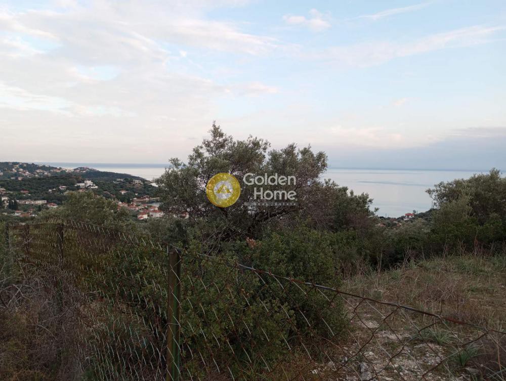 Οικόπεδο 10.000 τ.μ. πρός πώληση, Μαγνησία, Νέα Αγχίαλος