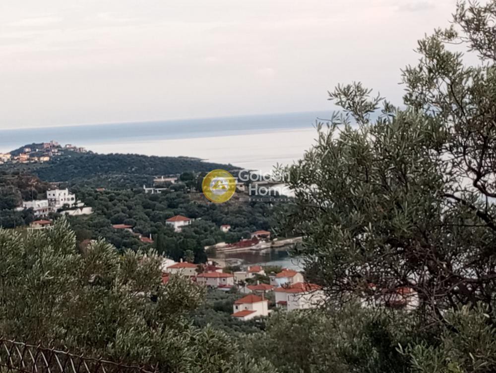 Οικόπεδο 10.000 τ.μ. πρός πώληση, Μαγνησία, Νέα Αγχίαλος