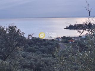 Οικόπεδο 10.000 τ.μ. για πώληση