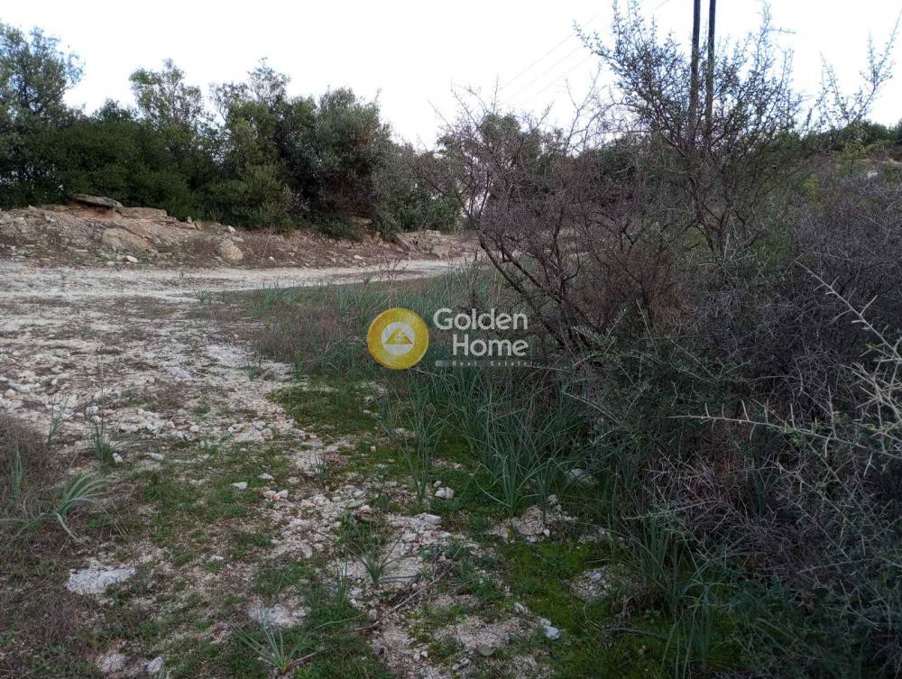 Οικόπεδο 10.000 τ.μ. πρός πώληση, Μαγνησία, Νέα Αγχίαλος