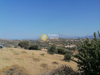 Οικόπεδο 4.066 τ.μ. για πώληση