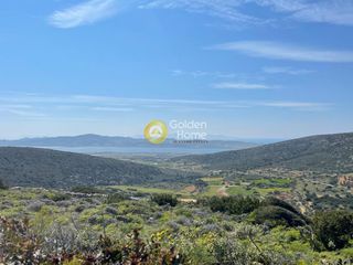 Αγροτεμάχια 11.282 τ.μ. για πώληση