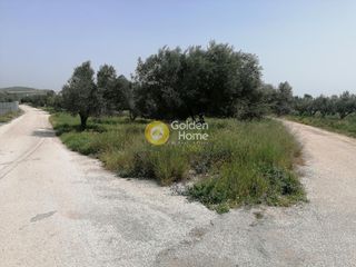 Αγροτεμάχια 6.800 τ.μ. για πώληση