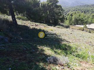 Αγροτεμάχια 600 τ.μ. για πώληση